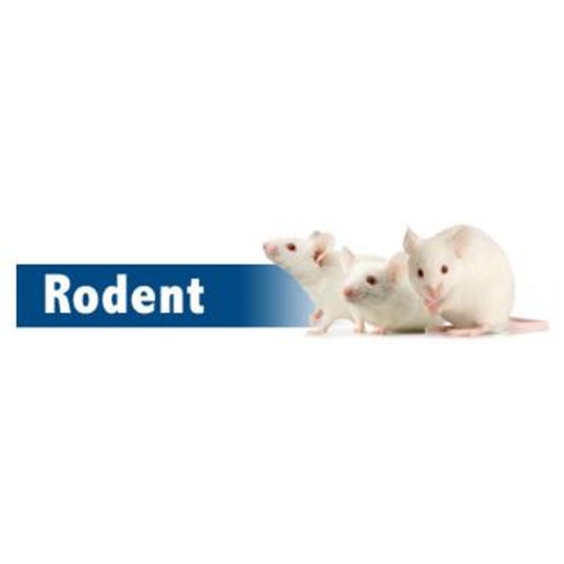 Rodent Liquid Diet