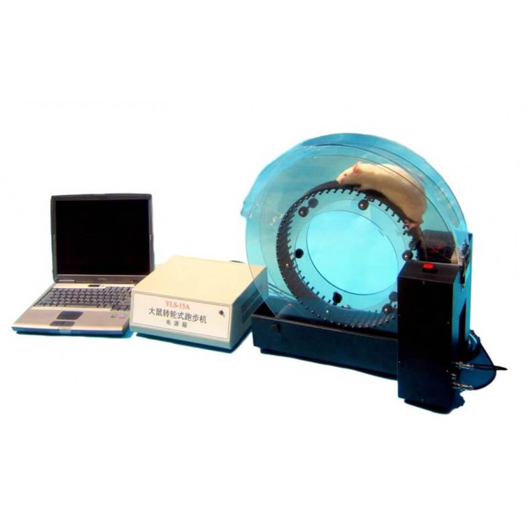 大鼠轉輪式電擊跑步機