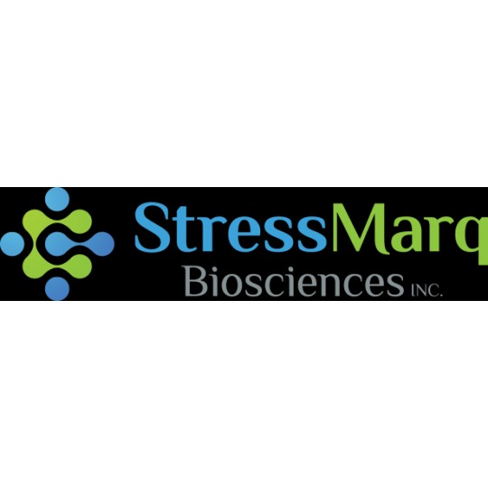 StressMarq相關產品 StressMarq相關產品