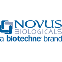 Novus Biologicals 相關產品 Novus Biologicals 相關產品