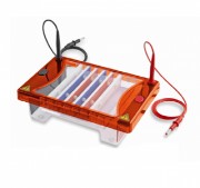 Midi plus-2 水平電泳槽