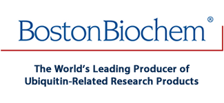 Boston Biochem Boston Biochem