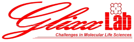 GlixxLab
