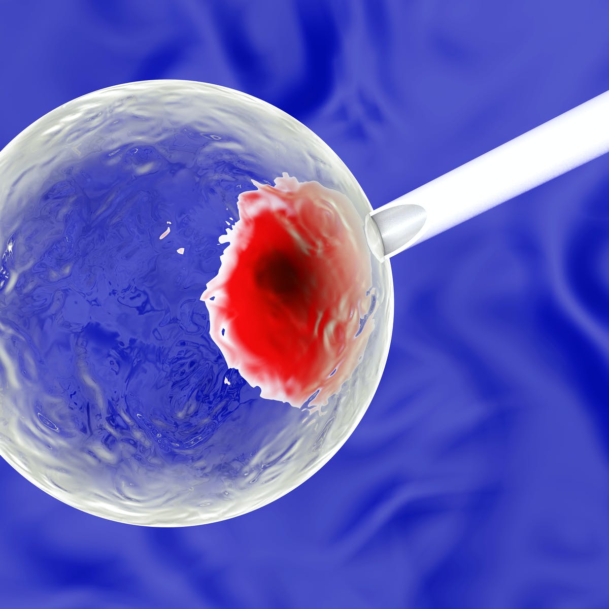 b.細胞實驗藥品、試劑