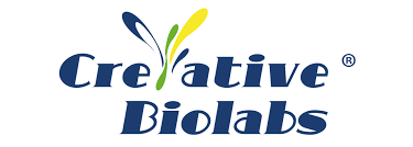 Creative Biolabs
