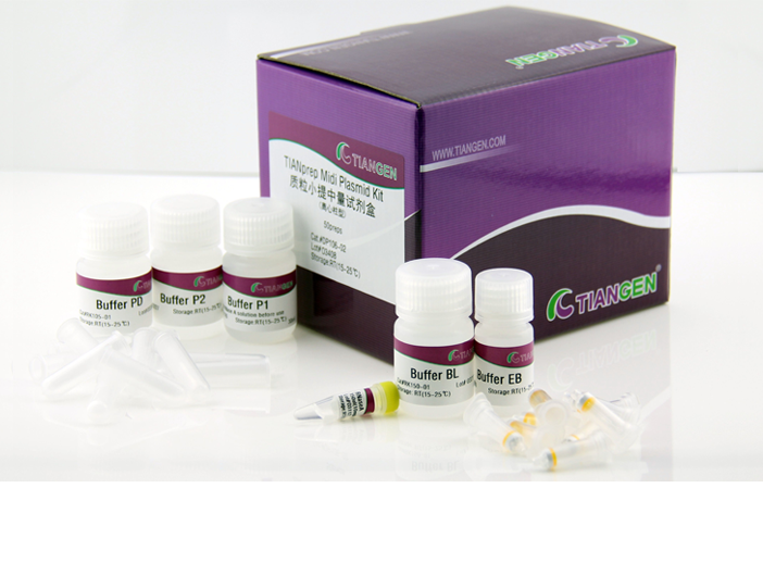 質粒小提中量試劑盒
