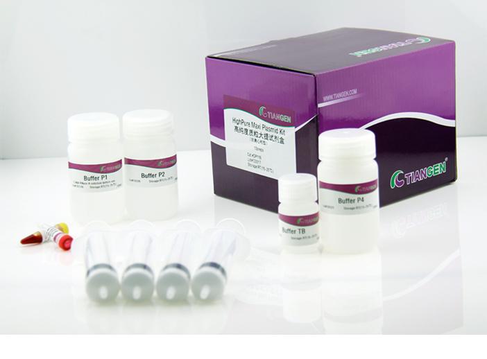 高純度質粒大提試劑盒