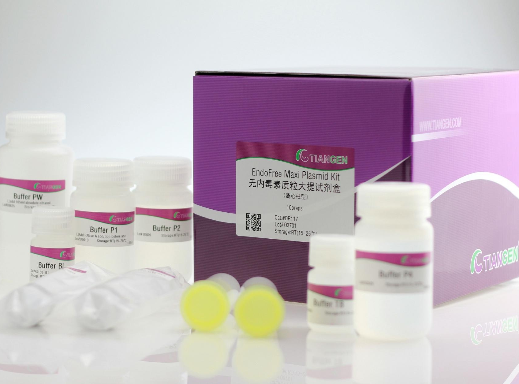 無內毒素質粒大提試劑盒