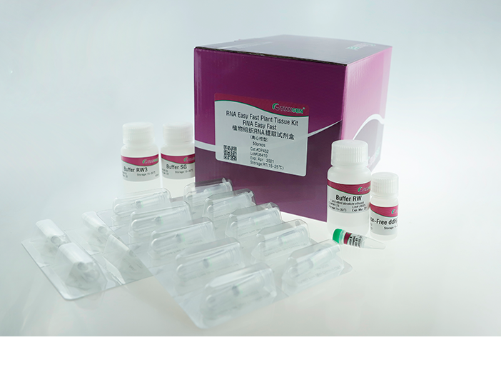 RNA Easy Fast 植物組織 RNA 快速提取試劑盒