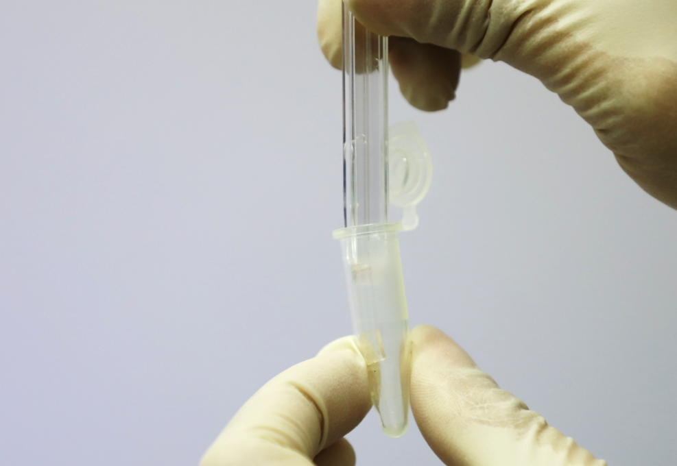 DNA產物純化/膠回收