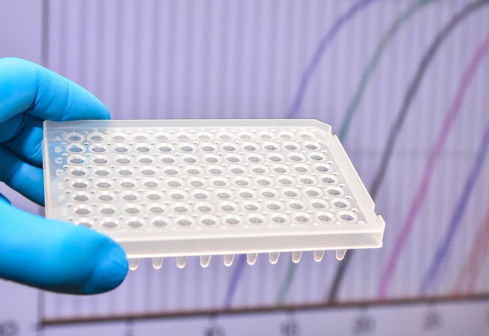 熒光定量PCR系列