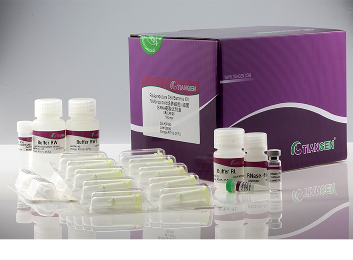 RNAprep Pure 培養細胞 / 細菌總 RNA 提取試劑盒