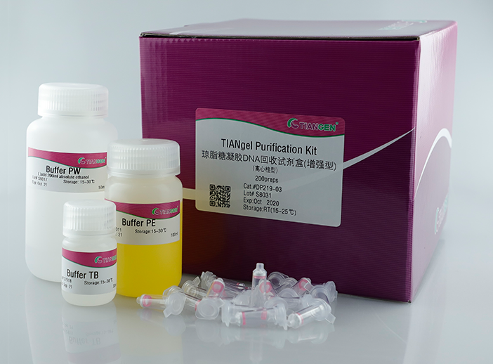 瓊脂糖凝膠DNA回收試劑盒 (增強型)