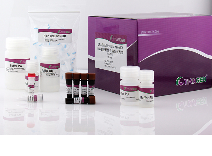DNA重亞硫酸鹽轉化試劑盒(離心柱型)