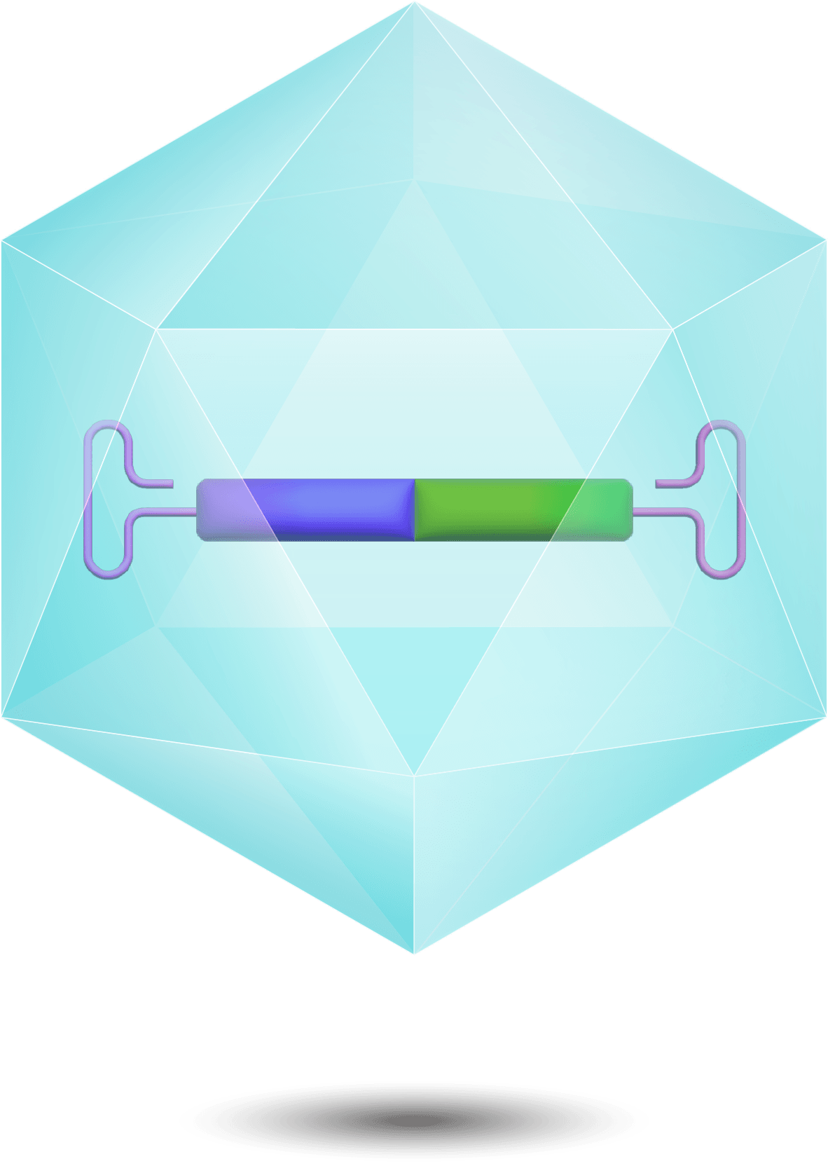 腺相關病毒載體包裝服務