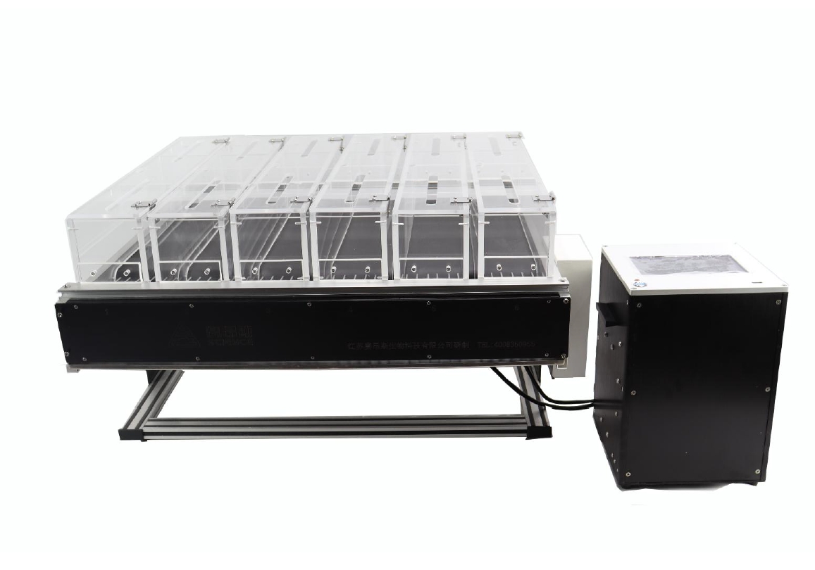 Rodent Treadmill - BioMed