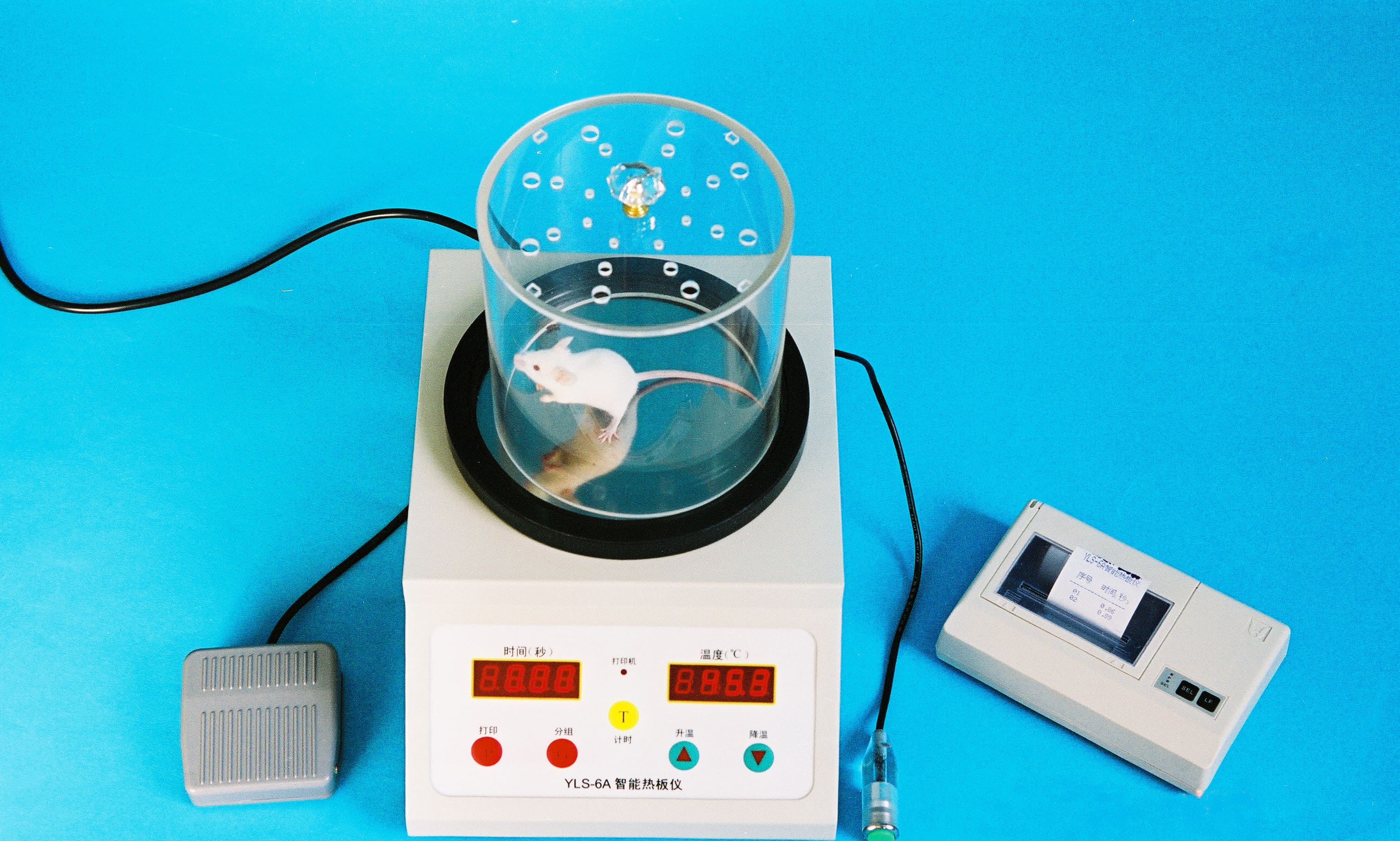 YLS-6B 智能熱板儀