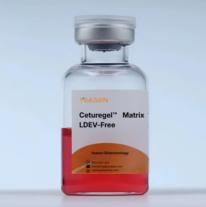 Ceturegel™ Matrix 細胞外基質膠
