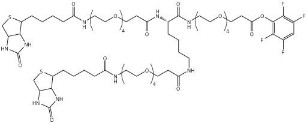 Biotin-PEG(4)-Lys(PEG(4)-Biotin)-PEG(4)-TFP